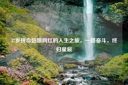 37岁拼命姑娘网红的人生之旅，一路奋斗，终归星辰