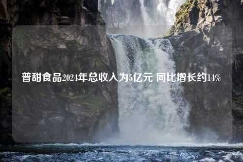 普甜食品2024年总收入为5亿元 同比增长约14%