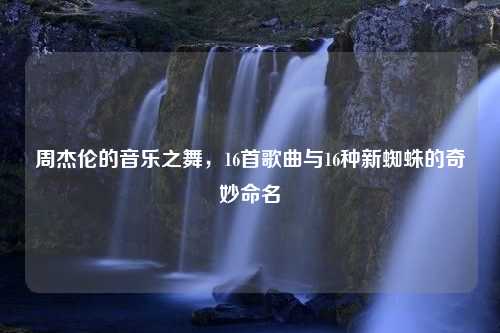 周杰伦的音乐之舞，16首歌曲与16种新蜘蛛的奇妙命名