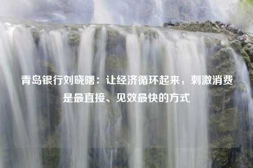 青岛银行刘晓曙：让经济循环起来，刺激消费是最直接、见效最快的方式