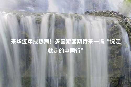 来华过年成热潮！多国游客期待来一场“说走就走的中国行”