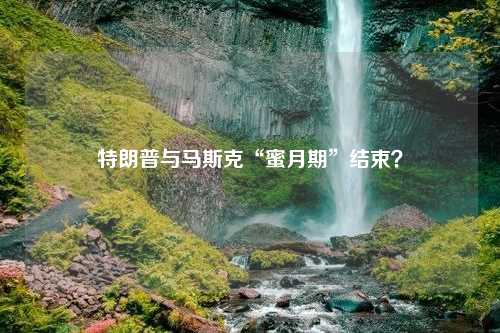 特朗普与马斯克“蜜月期”结束？