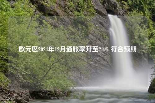 欧元区2024年12月通胀率升至2.4% 符合预期