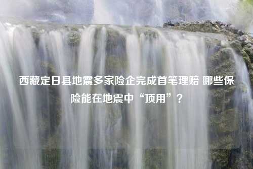 西藏定日县地震多家险企完成首笔理赔 哪些保险能在地震中“顶用”？