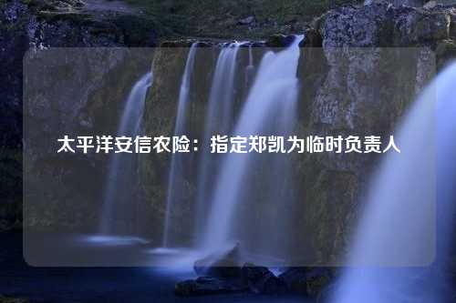 太平洋安信农险：指定郑凯为临时负责人