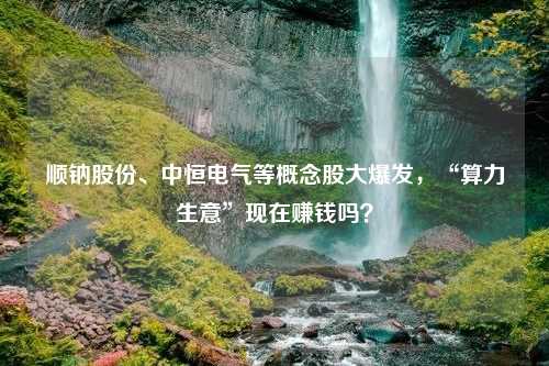 顺钠股份、中恒电气等概念股大爆发，“算力生意”现在赚钱吗？