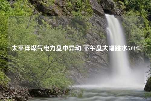 太平洋煤气电力盘中异动 下午盘大幅跳水5.01%