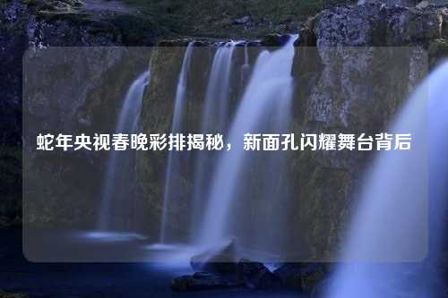 蛇年央视春晚彩排揭秘，新面孔闪耀舞台背后