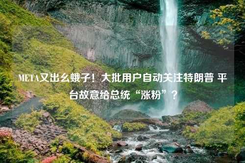 META又出幺蛾子！大批用户自动关注特朗普 平台故意给总统“涨粉”？