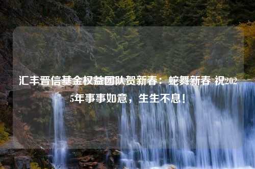 汇丰晋信基金权益团队贺新春：蛇舞新春 祝2025年事事如意，生生不息！