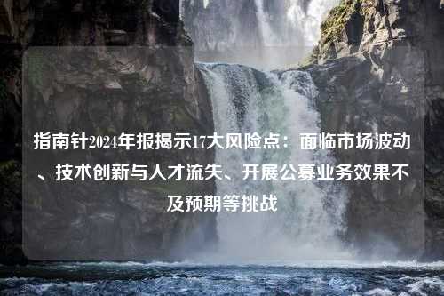 指南针2024年报揭示17大风险点：面临市场波动、技术创新与人才流失、开展公募业务效果不及预期等挑战