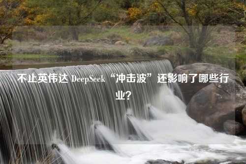 不止英伟达 DeepSeek“冲击波”还影响了哪些行业？