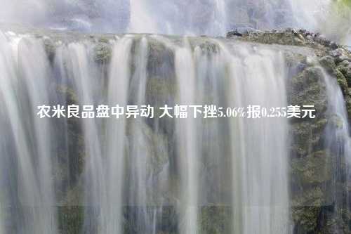 农米良品盘中异动 大幅下挫5.06%报0.255美元