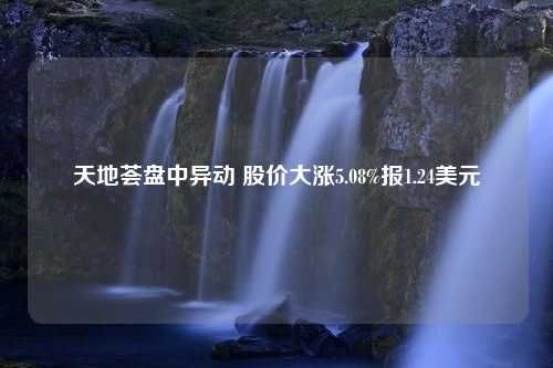 天地荟盘中异动 股价大涨5.08%报1.24美元