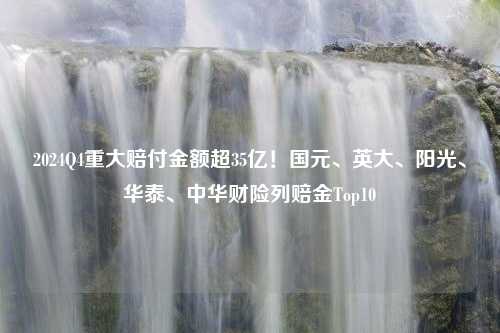 2024Q4重大赔付金额超35亿！国元、英大、阳光、华泰、中华财险列赔金Top10