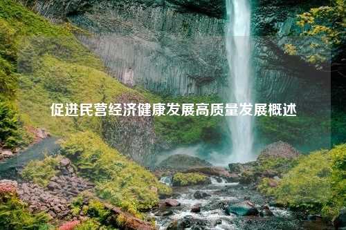 促进民营经济健康发展高质量发展概述