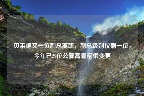 贝莱德又一位副总离职，副总级别仅剩一位，今年已29位公募高管密集变更