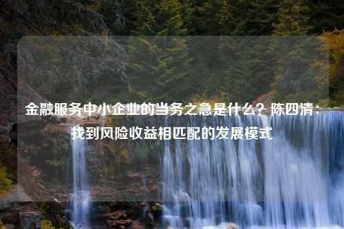 金融服务中小企业的当务之急是什么？陈四清：找到风险收益相匹配的发展模式