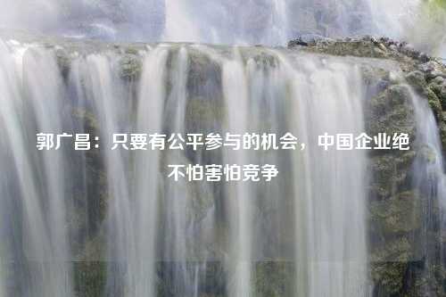 郭广昌：只要有公平参与的机会，中国企业绝不怕害怕竞争