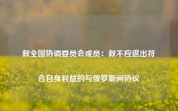 叙全国协调委员会成员：叙不应退出符合自身利益的与俄罗斯间协议