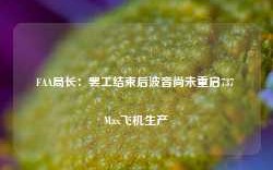 FAA局长：罢工结束后波音尚未重启737 Max飞机生产