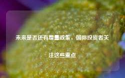 未来是否还有增量政策，国际投资者关注这些重点