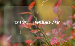 双针探底！市场调整结束了吗？