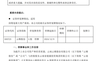 云维股份拟收购红河电厂若干股权，预计构成重大资产重组