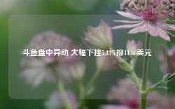 斗鱼盘中异动 大幅下挫5.13%报11.66美元