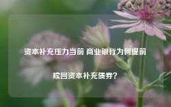 资本补充压力当前 商业银行为何提前赎回资本补充债券？