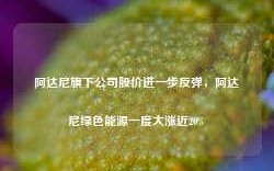 阿达尼旗下公司股价进一步反弹，阿达尼绿色能源一度大涨近20%