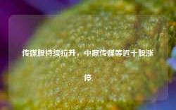 传媒股持续拉升，中原传媒等近十股涨停