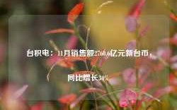 台积电：11月销售额2760.6亿元新台币，同比增长34%