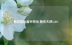 思宏国际盘中异动 股价大跌5.28%