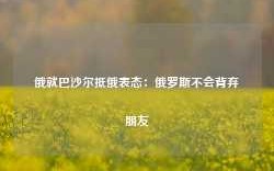 俄就巴沙尔抵俄表态：俄罗斯不会背弃朋友