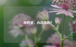 叙利亚，内战再起？