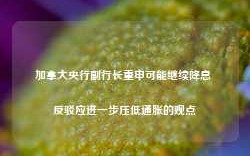 加拿大央行副行长重申可能继续降息 反驳应进一步压低通胀的观点