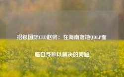 招银国际CEO赵驹：在海南落地QDLP面临自身难以解决的问题