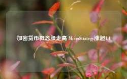 加密货币概念股走高 MicroStrategy涨超1.4%