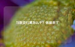 马斯克打算怎么干？答案来了