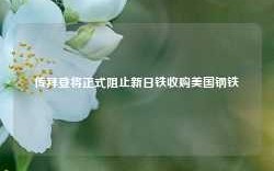 传拜登将正式阻止新日铁收购美国钢铁