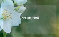 11月涨幅前十股票