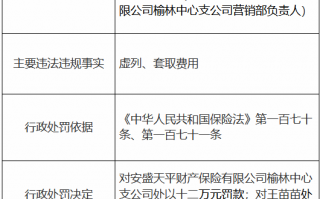 安盛天平财险榆林中心支公司因虚列、套取费用被罚12万元