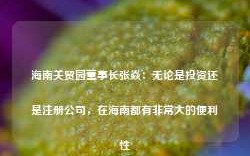 海南关贸园董事长张焱：无论是投资还是注册公司，在海南都有非常大的便利性