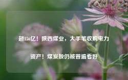 超156亿！陕西煤业，大手笔收购电力资产！煤炭股仍被普遍看好