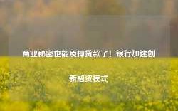 商业秘密也能质押贷款了！银行加速创新融资模式