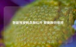 智能驾驶概念股拉升 索菱股份涨停