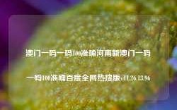 澳门一码一码100准确河南新澳门一码一码100准确百度全网热搜版v11.26.13.96