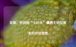 花旗：科技股“七巨头”遭遇主动型基金的持续抛售