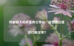 特朗普关税政策再引争议：消费者还是进口商买单？